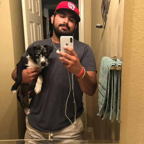 Meet your Posher, Paul - Picture 1 of 1